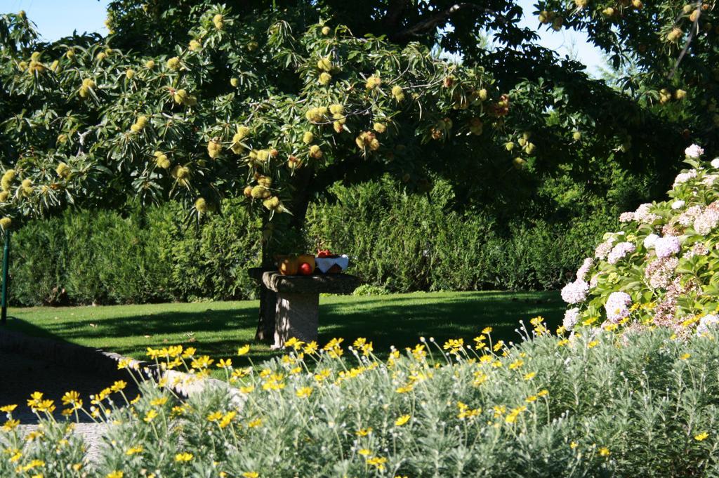 Quinta D'Arroteia Viseu Ngoại thất bức ảnh